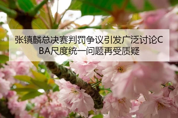 张镇麟总决赛判罚争议引发广泛讨论CBA尺度统一问题再受质疑 | jiuyou