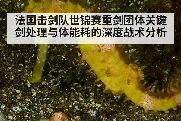 法国击剑队世锦赛重剑团体关键剑处理与体能耗的深度战术分析
